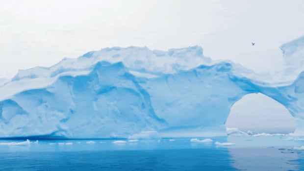 Kan een afbeelding van bevroren pinguïnkuikens tot klimaatactie leiden?