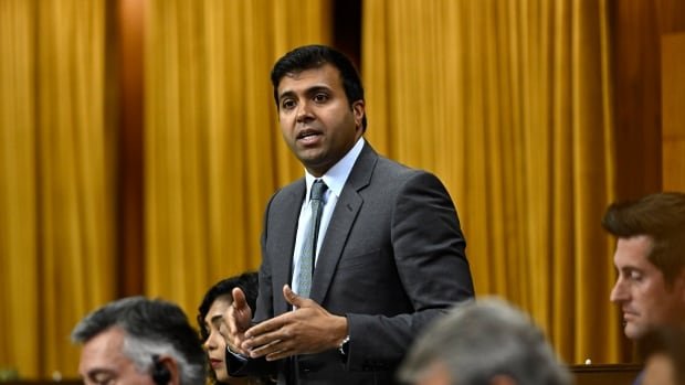 Parlementslid zegt dat hij werd ‘geduwd’ door een demonstrant op Parliament Hill