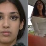 Politie arresteert in virale video waarin diefstal van Porsche in Mississauga te zien is